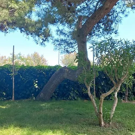 Rosmarino_appartamento Fronte Mare Apartment